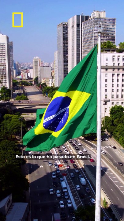 Roban en un laboratorio de Brasil para llevarse varios virus de gran peligro