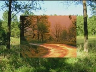 Balade en forêt