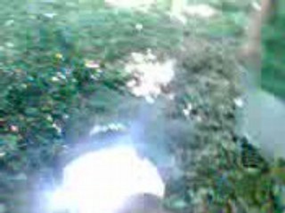 Vidéo021