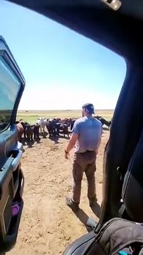 This guy's tells his cows he can't get the well to work, but someone will be there in an hour to fix it: they're all listening and they seem to understand