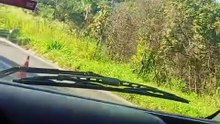 Caminhão tomba e trava trânsito na BR-381 na saída de BH