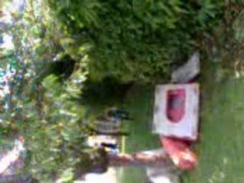 Bisounours en mode velo