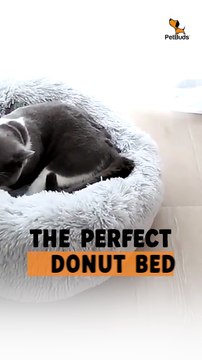 Donut Dog Bed 🐾 Ultimate Comfort for Your Pet