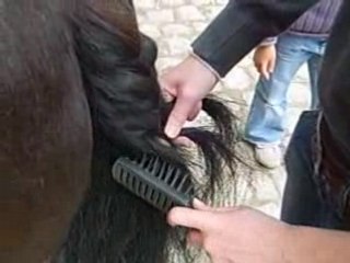 Lauriane qui fait la queue d'Athéna