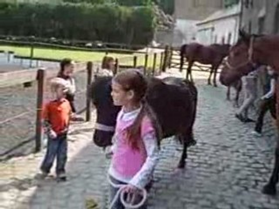 La sortie des poneys