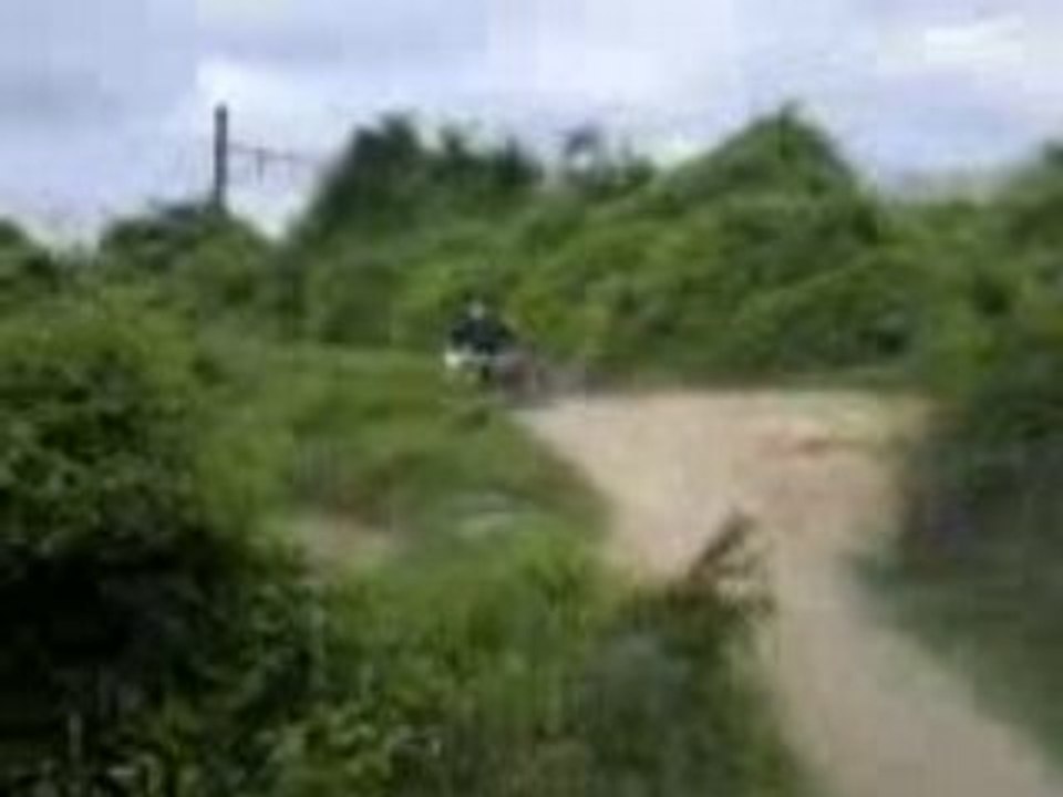 Quad