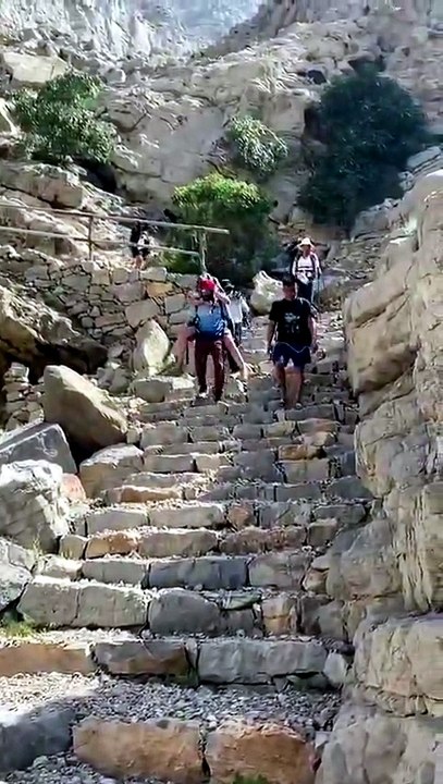 Carried for 3 hours: UAE guide saves hiker