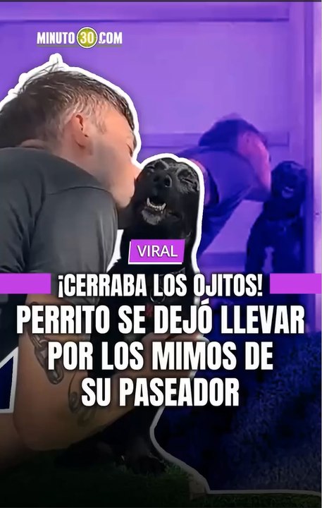 No es solo pasearlos, es quererlos.