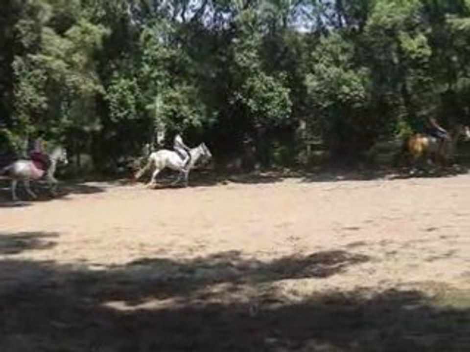 Encore galop sans étriers