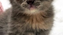 😮😮😮