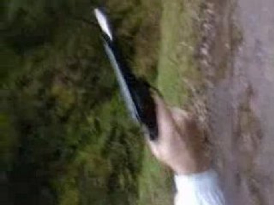 schirmeck sa tire au 12