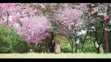 [Ep 7] See You in My 19th Life Episode 7 Sub Indo 이번 생도 잘 부탁해 Multiple Subtitle