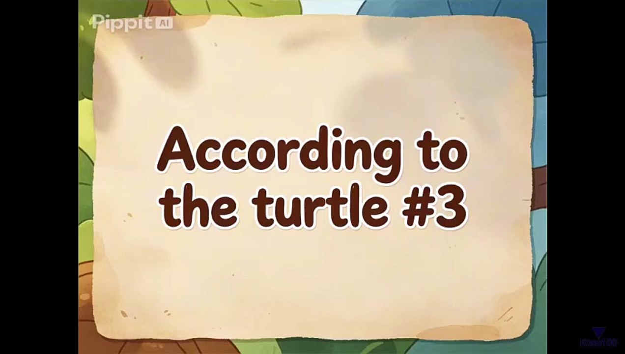 Acording to the Turtle #3