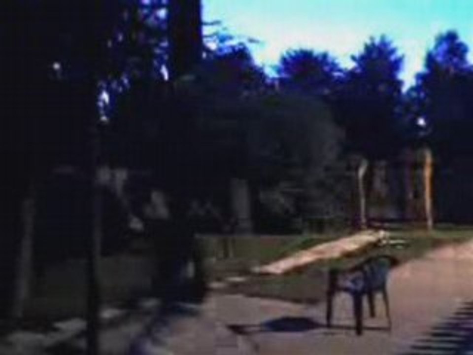 StreetBall - Gingol1310 (1)