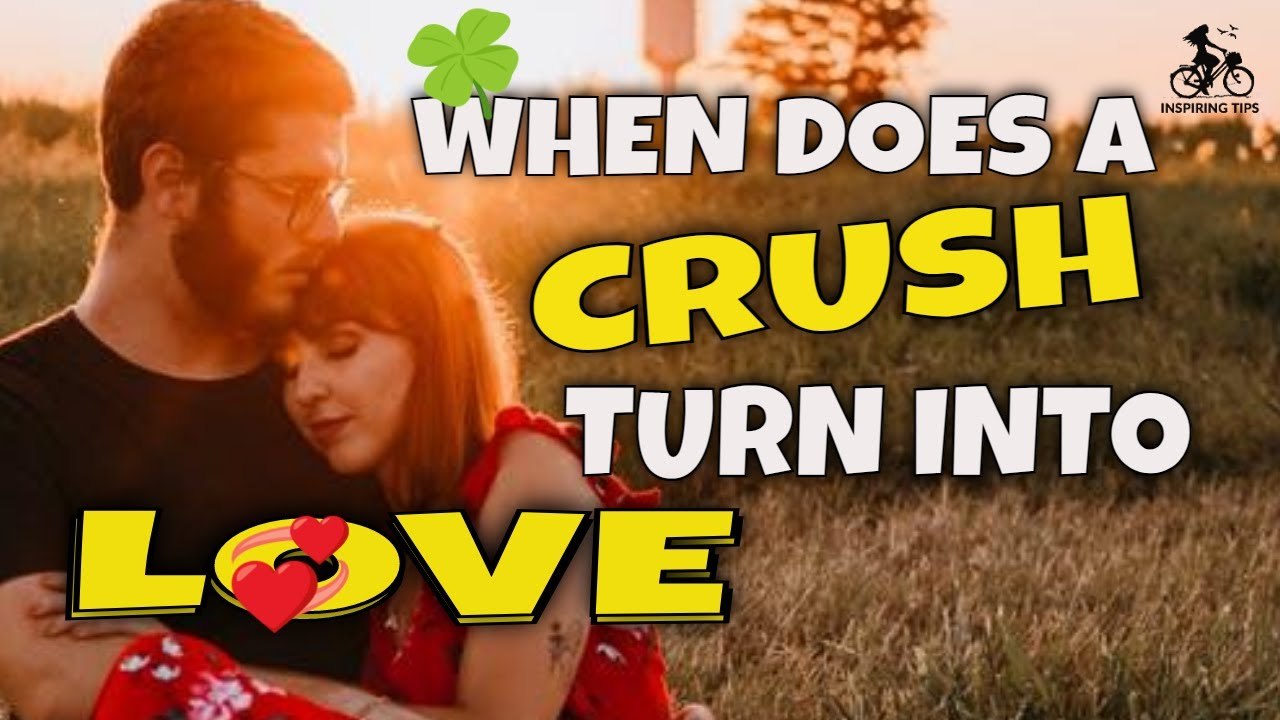 Crush Into Love