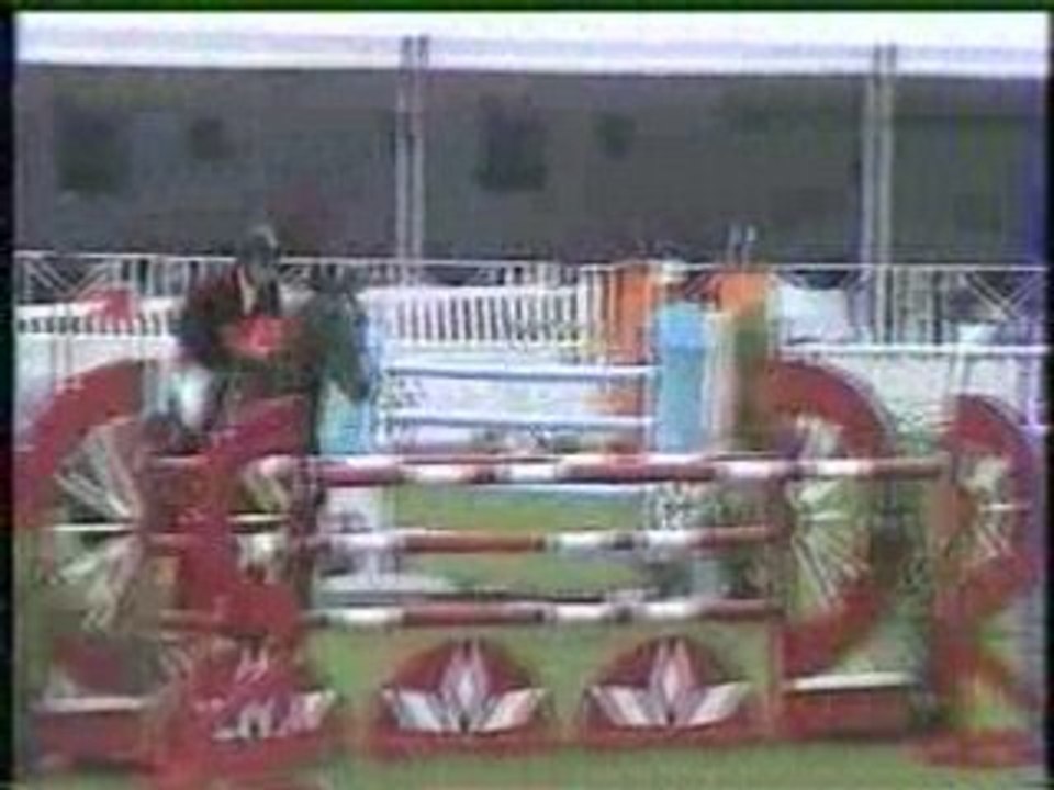 Timothée Anciaume/Laam de Fétan Petit GP Franconville 2008