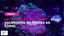 La “biota de Hua Yuan”, el yacimiento de fósiles en China