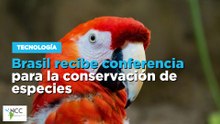 Brasil recibe conferencia para la conservación de especies