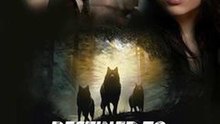 Destined to Three Alphas #Dramabox