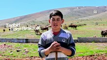 Sivas Valiliği yayınladığı videoyla vatandaşları keneye karşı uyardı