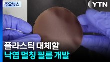 고유가 속 플라스틱 대체할 낙엽 멀칭 필름 개발 / YTN