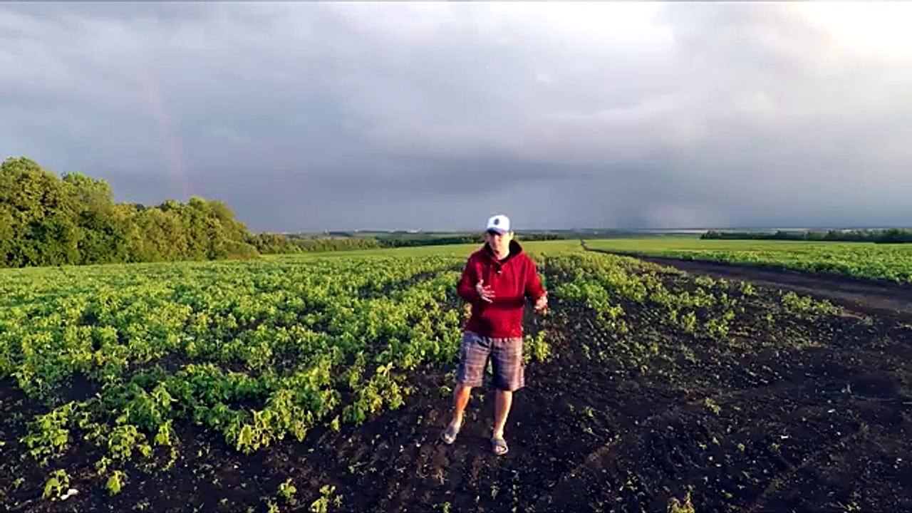 Феномен ДРУЖКО ШОУ Как ТЕЛЕВИДЕНИЕ нагнуло ИНТЕ...