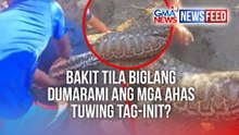 Bakit tila biglang dumarami ang mga ahas tuwing tag-init? | GMA News Feed