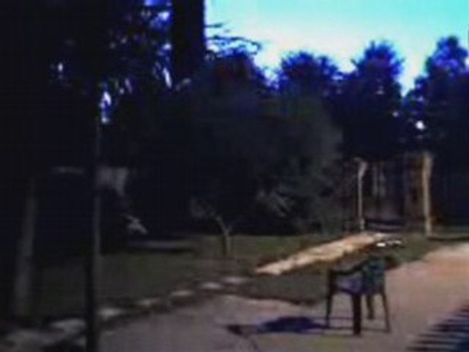 StreetBall - Gingol1310 (2)