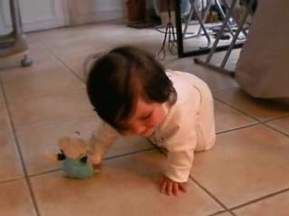 le 4 pattes de romane