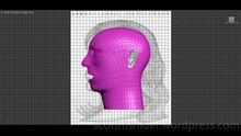 Ponikarovsky: 3DS MAX Practice Polygon Modeling Head Model Video #65 (04-30-2026)
