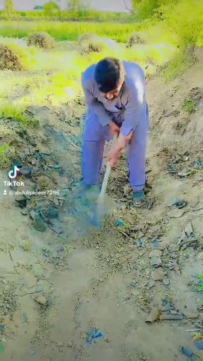 Punjabi mahol