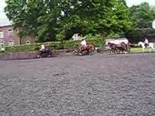 Galop botte à botte Confirmés 2