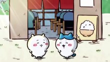 Chiikawa EP244 「資格のおもいで／かまぼこ」