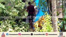 അങ്കമാലിയിൽ വിരണ്ടോടിയ ആനയെ തളയ്ക്കാൻ ശ്രമം തുടരുന്നു; ആർആർടി സംഘം സ്ഥലത്ത്