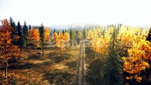 Autumn Forest Railway Journey with Golden Trees