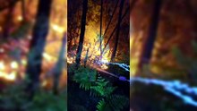 Incendio sul Monte Faeta: dentro l?inferno, la "battaglia" dei soccorritori
