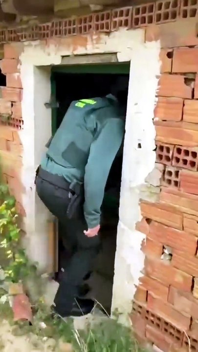 Guardia Civil auxilia a dos cachorros de mastín en Fitero