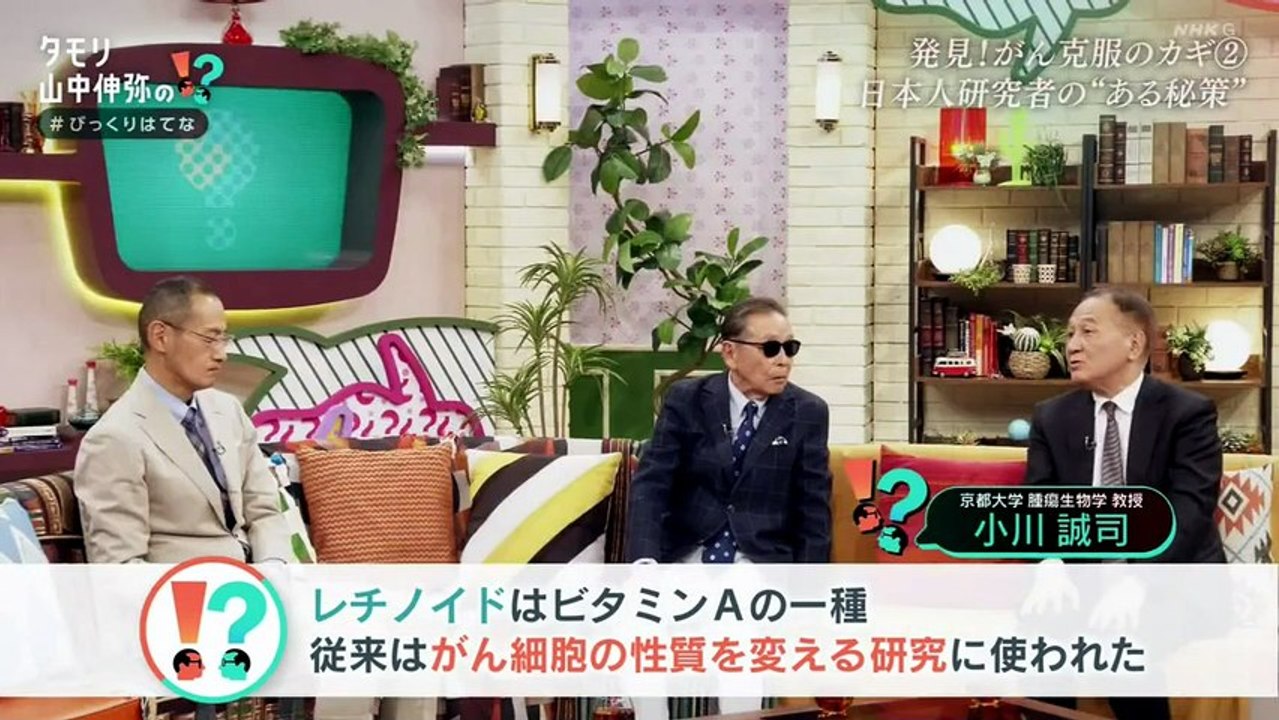 ブラタモリ 2026年05月02日 国宝犬山城▼天下人が愛した城の秘密?タモリ、国宝五城制覇へ!