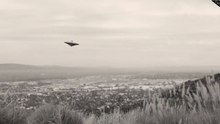 La teoría que puede predecir como son los alienígenas | Evolución Convergente