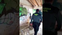 Localizados dos cachorros de mastín en condiciones precarias