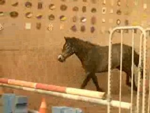 Shalimar juin 2008 1 er séance CSO lib