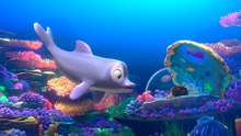 Dolphin Boy