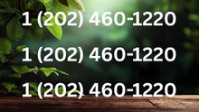 Complete List Of coinbase®® Official Customer Service™ USA Contact Numbers A Step-by-Step Guide