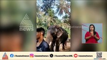 ഇരിങ്ങാലക്കുടയില്‍ ഇടഞ്ഞ ആനയെ വരുതിയിലാക്കാനുള്ള ശ്രമം പാപ്പാന്മാര്‍ തുടരുന്നു