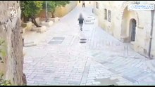 gerusalemme_suora_aggredita_arresto