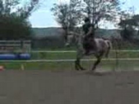 12.04.08 - Cours d'équitation (Obstacle)