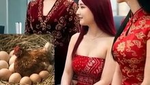 닭과 사람
