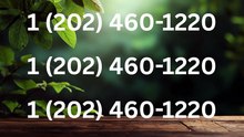 COmpLetE ^>【Coinbase -®】 Support and Help DEsk COmpLetE Numbers - All Easy Methods