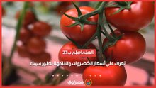 الطماطم ب 27.. تعرف على أسعار الخضروات والفاكهة بطور سيناء