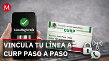 Vincula tu línea a CURP paso a paso: Norma Solano Rodríguez